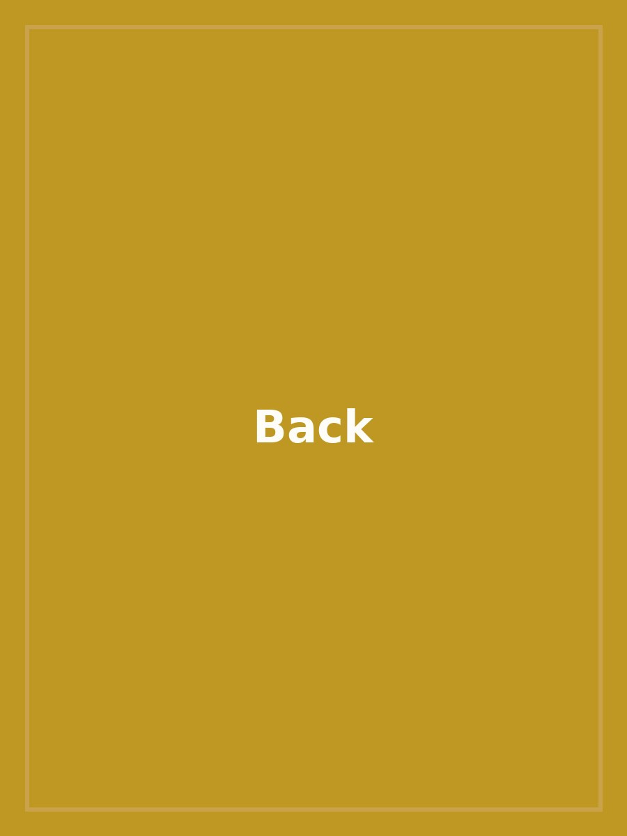 Signature Mustard Yellow Kanjivaram Silk Saree #159 — view 2