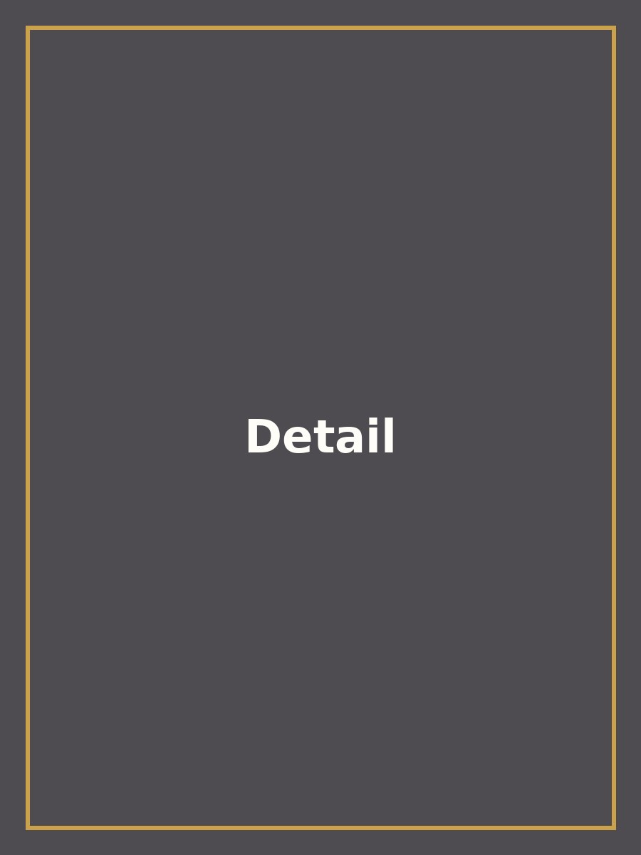 Classic Charcoal Grey Organza Saree #88 — view 3