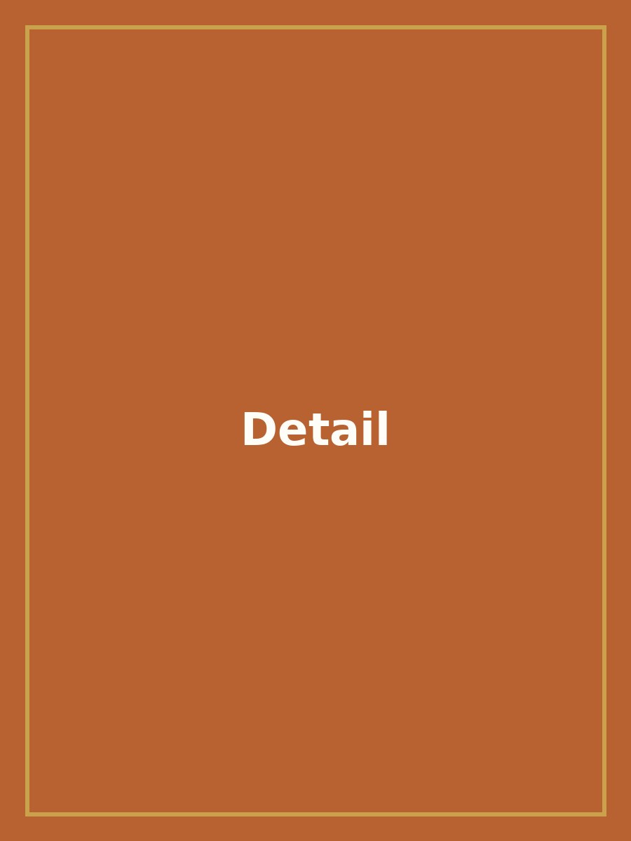 Royal Rust Orange Cotton Saree #114 — view 3